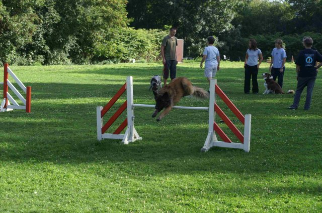 agility 2011-08